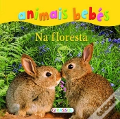 Capa do artigo Na floresta