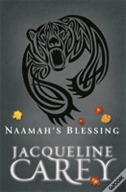 Capa do artigo Naamah'S Blessing