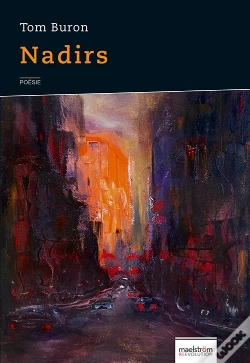 Capa do artigo Nadirs