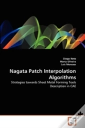 Nagata Patch Interpolation Algorithms