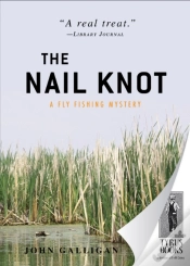 Capa do artigo Nail Knot