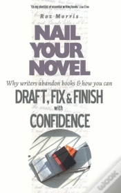 Capa do artigo Nail Your Novel