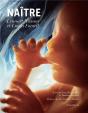 Naitre - Preview