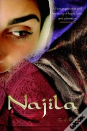 Capa do artigo Najila