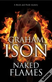 Capa do artigo Naked Flames