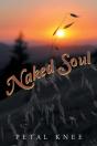 Naked Soul - Preview