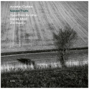 Capa do artigo Naked Truth - CD