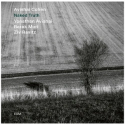 Capa do artigo Naked Truth - CD