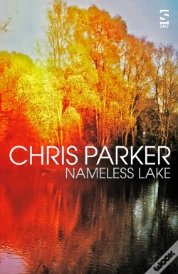 Capa do artigo Nameless Lake