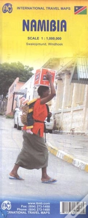 Capa do artigo Namibia