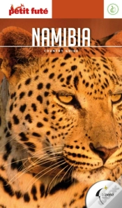 Capa do artigo Namibia