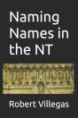Naming Names In The Nt - Preview