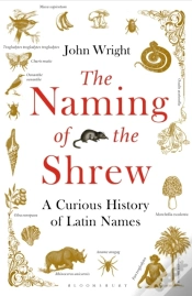 Capa do artigo Naming Of The Shrew