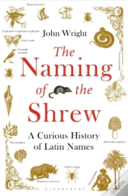 Capa do artigo Naming Of The Shrew