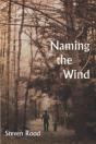 Naming The Wind - Preview