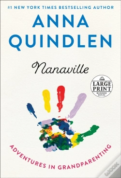 Capa do artigo Nanaville