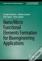 Nano/Micro Functional Elements Formation For Bioengineering Applications