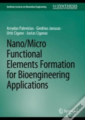 Nano/Micro Functional Elements Formation For Bioengineering Applications