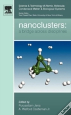 Capa do artigo Nanoclusters