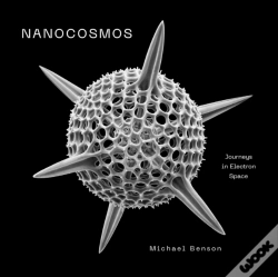 Capa do artigo Nanocosmos