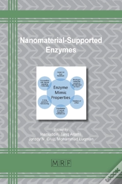 Capa do artigo Nanomaterial-Supported Enzymes
