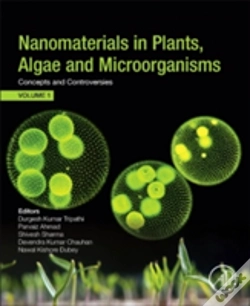 Capa do artigo Nanomaterials In Plants, Algae, And Microorganisms