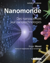 Nanomonde ; Des Nanosciences Aux Nanotechnologies