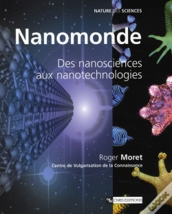 Capa do artigo Nanomonde ; Des Nanosciences Aux Nanotechnologies