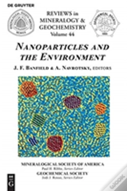 Capa do artigo Nanoparticles And The Environment