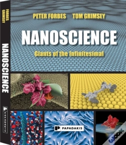 Capa do artigo Nanoscience