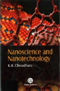 Nanostructures And Nanoelectronics - Preview