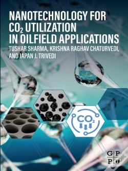 Capa do artigo Nanotechnology For Co2 Utilization In Oilfield Applications