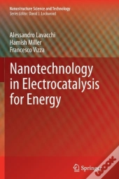 Nanotechnology In Electrocatalysis For Energy