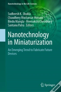 Capa do artigo Nanotechnology In Miniaturization