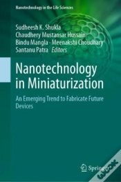 Capa do artigo Nanotechnology In Miniaturization