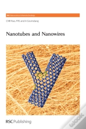 Capa do artigo Nanotubes And Nanowires