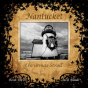Nantucket Christmas Stroll - Preview