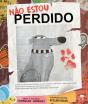 Não Estou Perdido - Preview