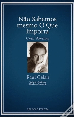 Capa do artigo Não Sabemos Mesmo o Que Importa