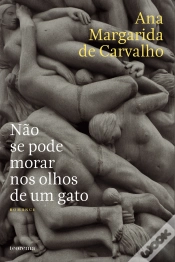 Capa do artigo Não se Pode Morar nos Olhos de Um Gato