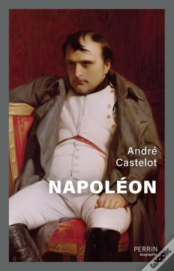 Capa do artigo Napoléon