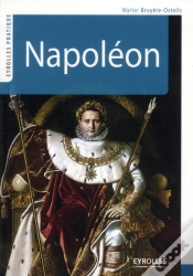 Capa do artigo Napoleon