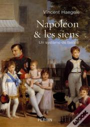 Napoléon & Les Siens ; Un Système De Famille