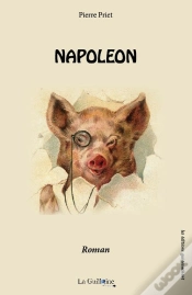 Capa do artigo Napoleon