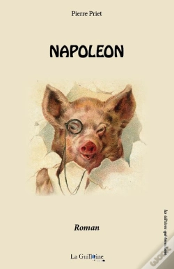 Capa do artigo Napoleon