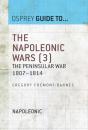 Napoleonic Wars (3) - Preview