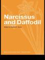 Narcissus And Daffodil - Preview