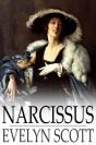 Narcissus - Preview