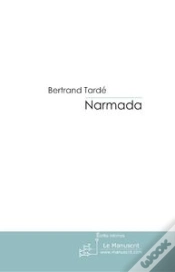 Capa do artigo Narmada