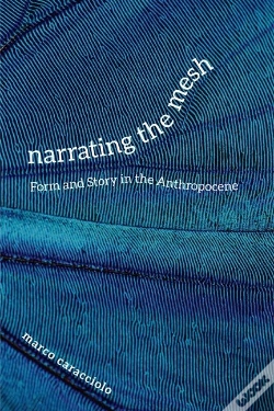 Capa do artigo Narrating The Mesh
